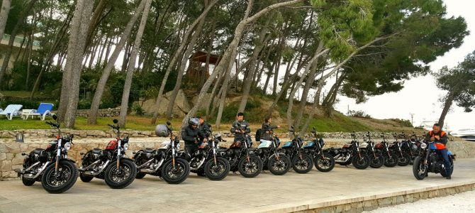 Harley-Davidson Sportster, o istorie de peste 60 de ani